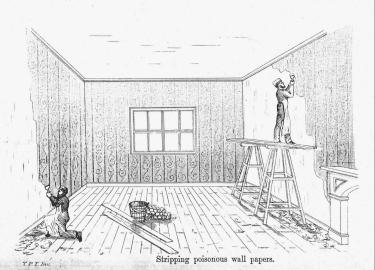 Stripping poisonous wall papers